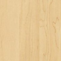 Tarkett Elite 34/10 мм 018